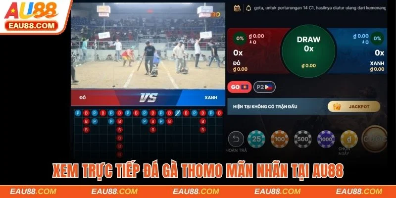 Xem Trực Tiếp Đá Gà Thom